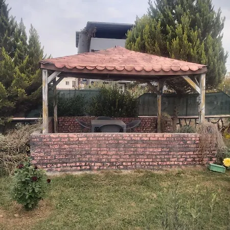 Living House Willa *