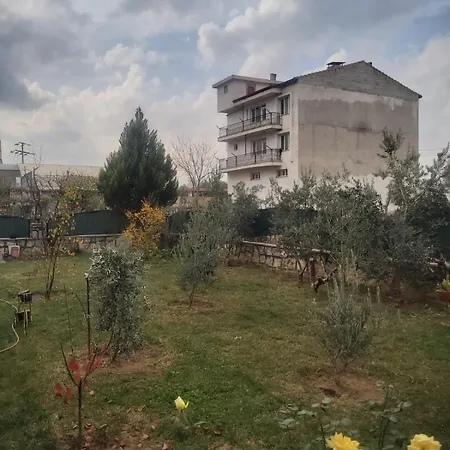 Living House * Salihli