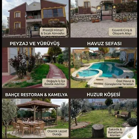 Living House Villa
