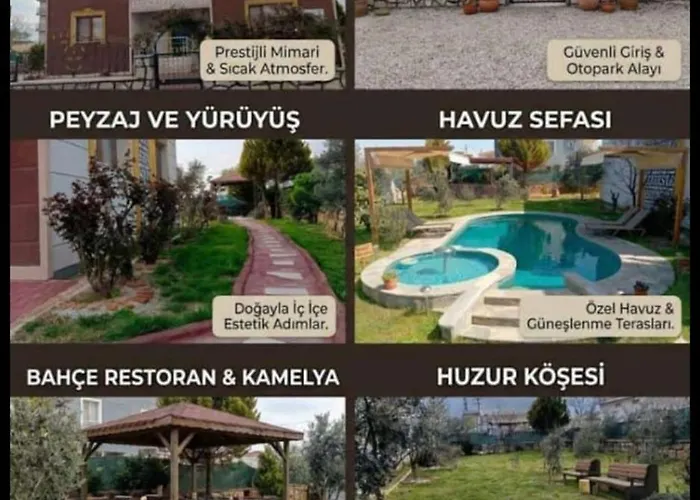 Living House Villa