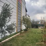 Living House Вилла