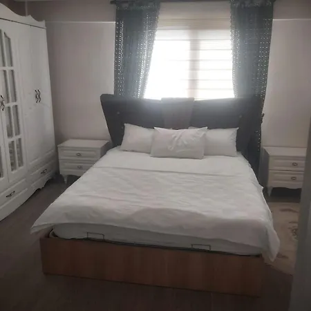 Living House Villa *