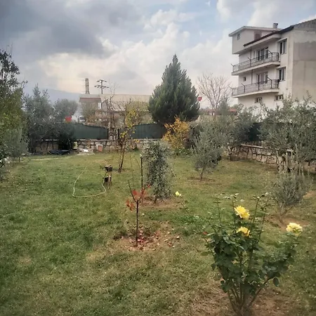 Living House *