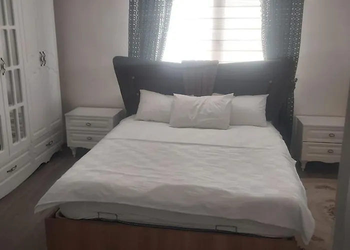 Living House Vilă *