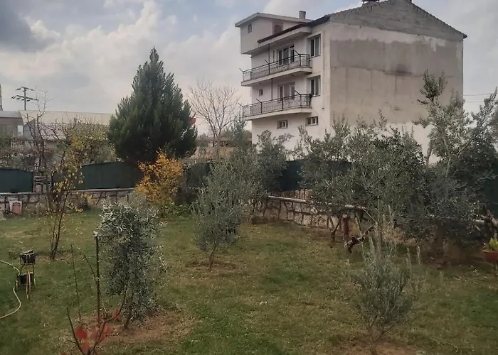 Living House * Salihli