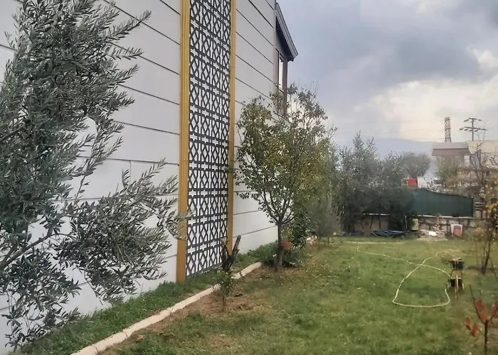 Living House Villa